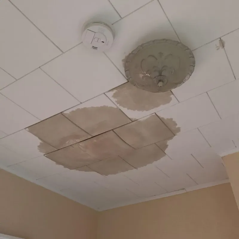 Ceiling Water Damage Repair in Middleville, MI